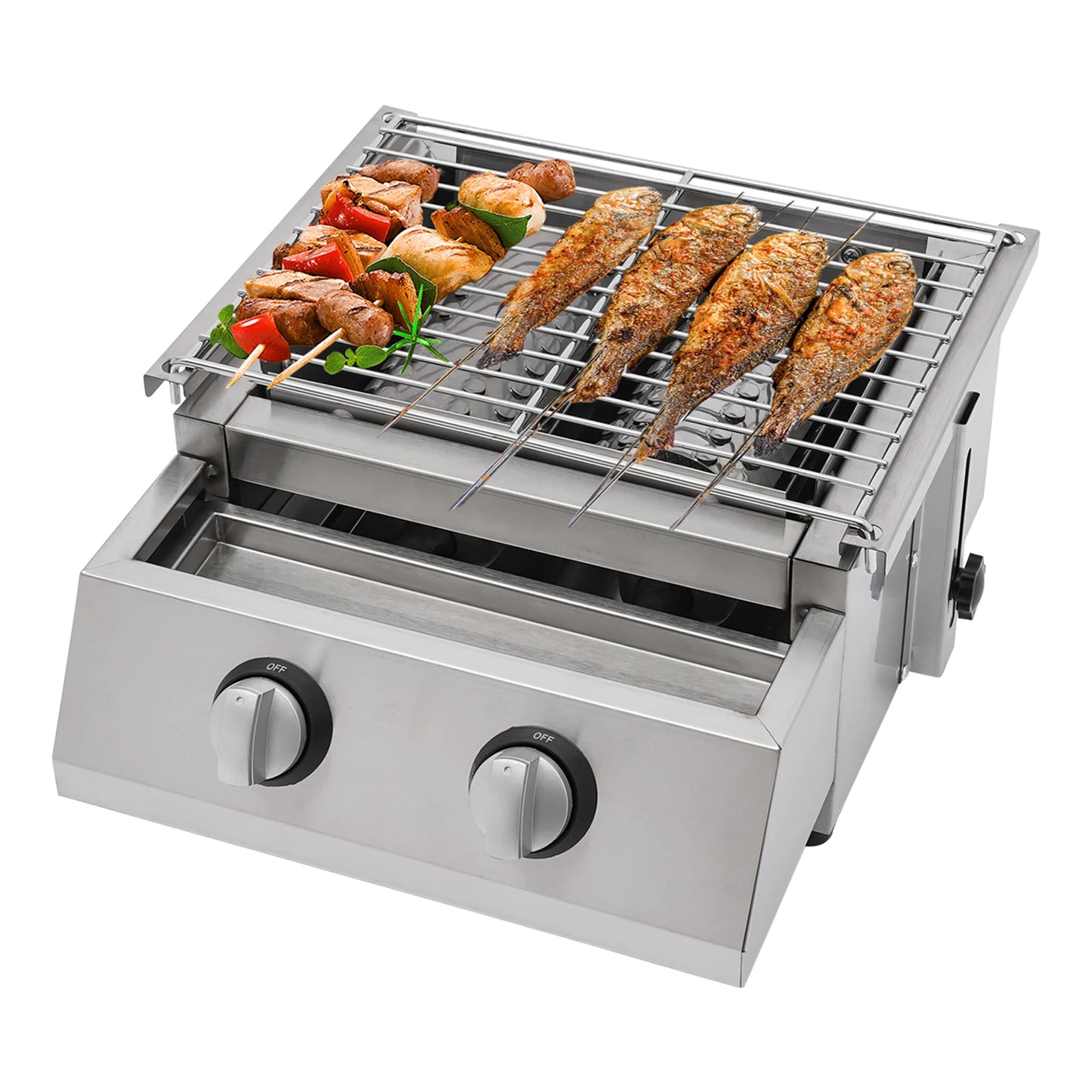 Two-Burner Stainless Steel LPG Gas Grill Portable for Outdoor Patio - Arthur's Wellness Emporium