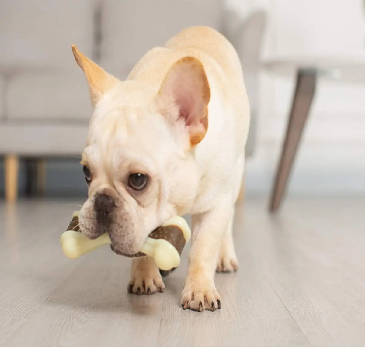 Beef Flavor Dog Chew Toys Nylon Bones For Aggressive Chewers