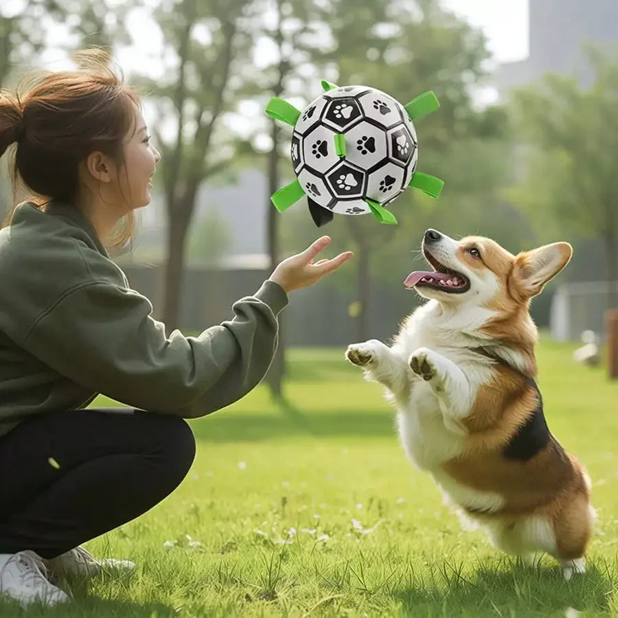 Chew-Resistant Dog Soccer Ball Toy With Air Pump For All Breeds Indoor Outdoor - Arthur's Wellness Emporium