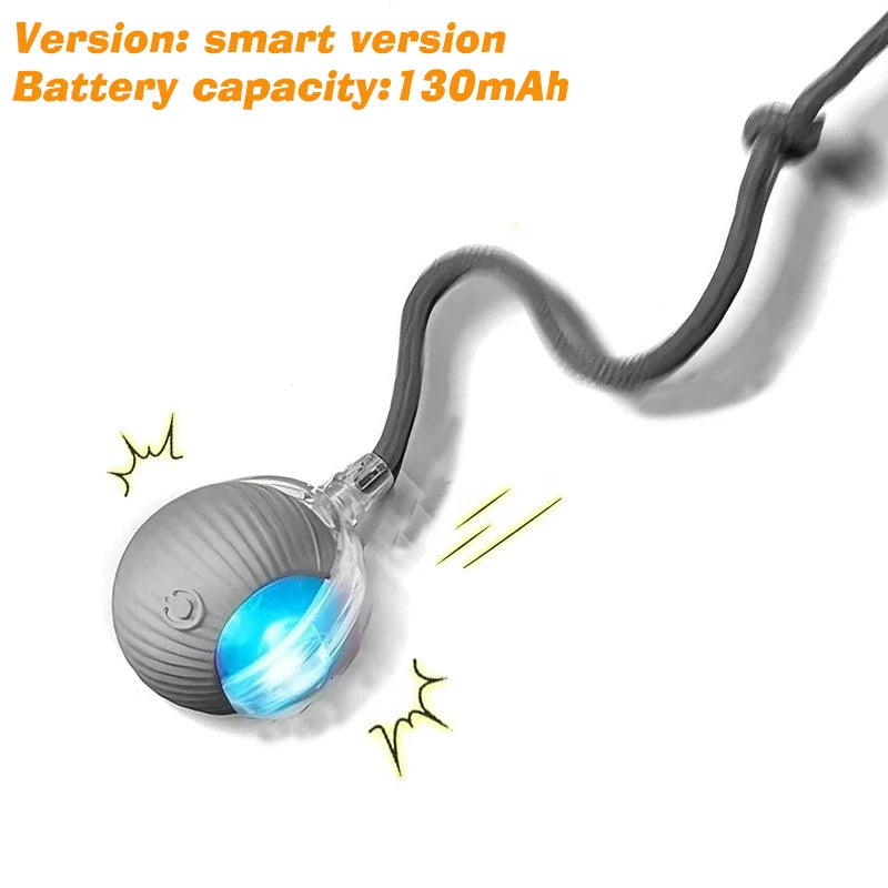 Interactive Dog Ball Toy Automatic Rolling Rechargeable