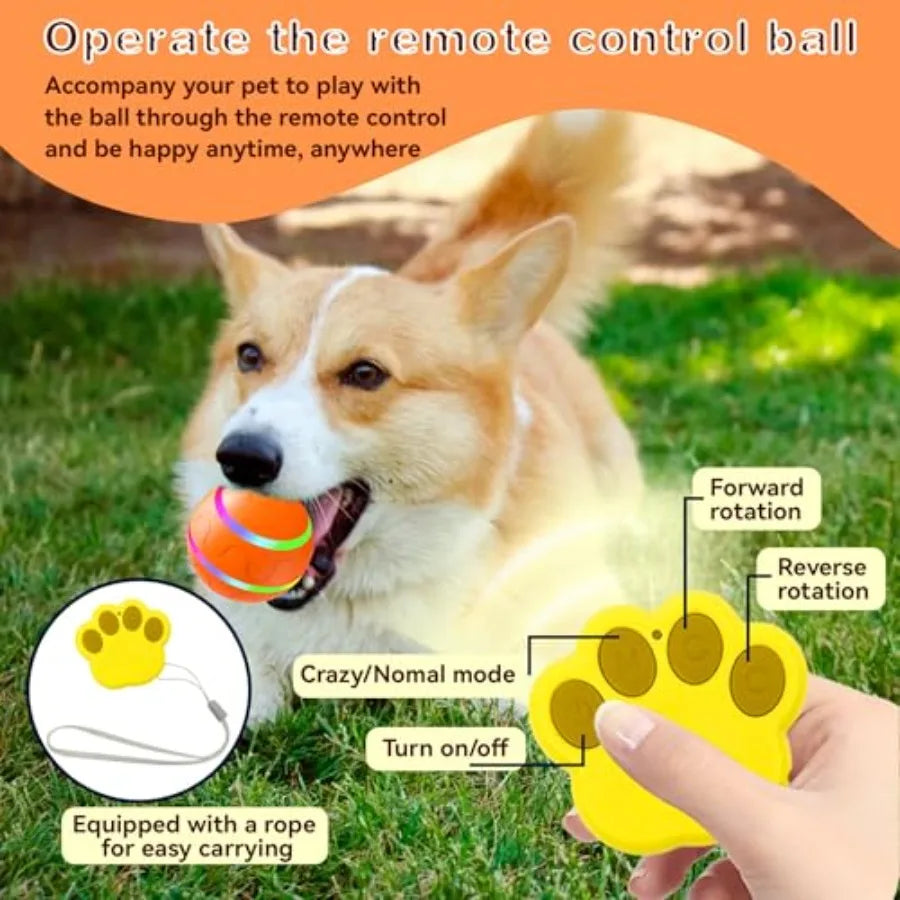 Yao Hui Huang Interactive Dog Ball No Battery Included