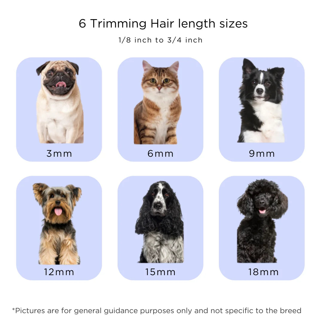 Grooming Kit For Dogs And Cats With Vacuum Includes Brushes - Arthur's Wellness Emporium