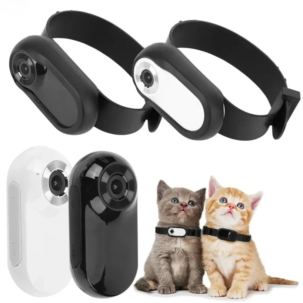 LISMCN 1080P Pet Camera Portable HD Detachable Collar Cam - Arthur's Wellness Emporium