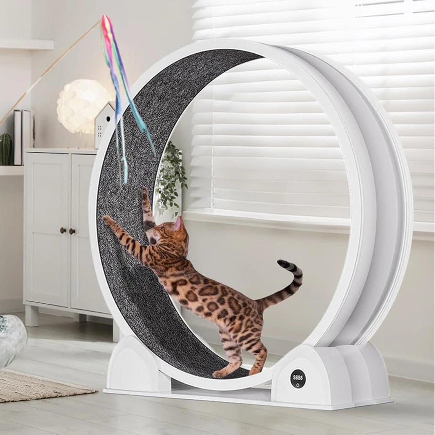 HiMISSCN Cat Exercise Wheel Indoor Running Wheel For Cats - Arthur's Wellness Emporium