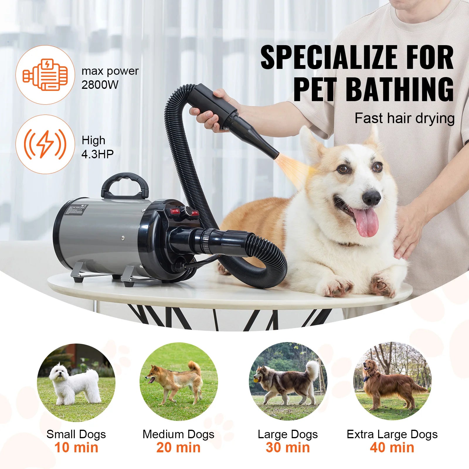 SucceBuy 2000W Dog Dryer With Adjustable Speed And Nozzle Set - Arthur's Wellness Emporium