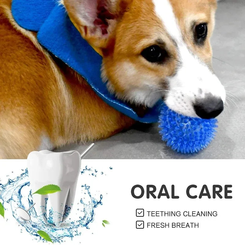 TPR Squeaky Dog Ball Toy Tooth Cleaning Chew For Training - Arthur's Wellness Emporium