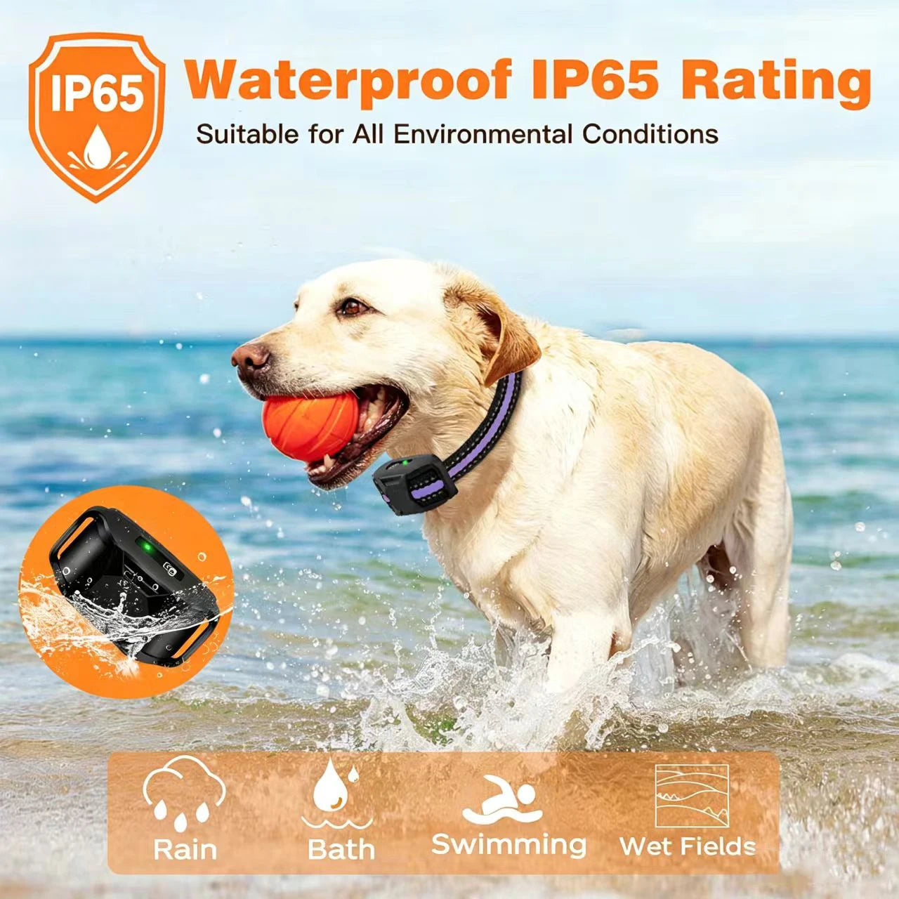 WXRPET 3300ft Electric Dog Training Collar With Remote Control Waterproof Beep