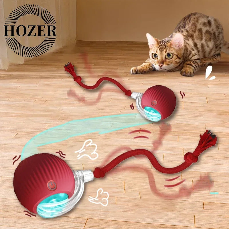 Cat Interactive Ball Toy Automatic Rolling Faux Tail Rechargeable - Arthur's Wellness Emporium