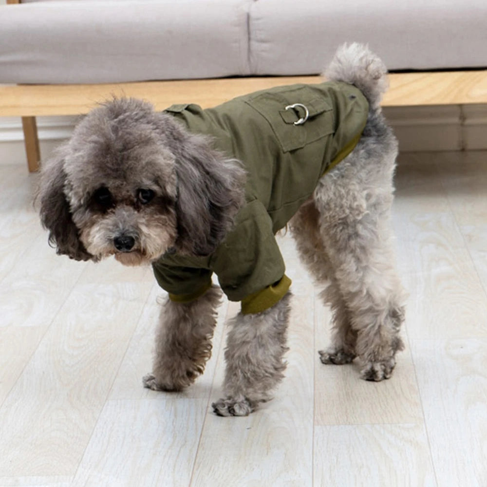 Dog Jacket With Harness For Winter Hiking Outdoors - Arthur's Wellness Emporium