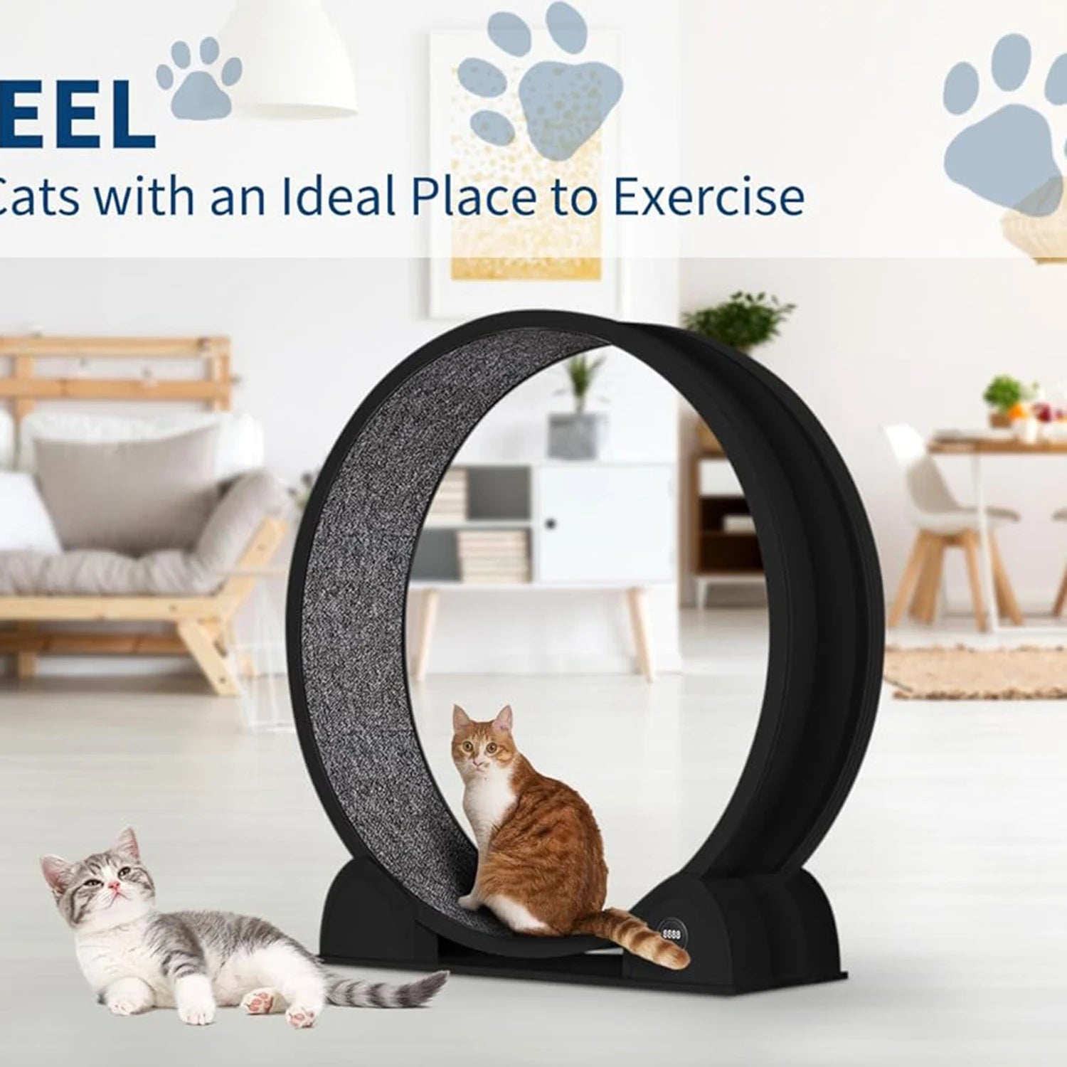 HiMISSCN Cat Exercise Wheel Indoor Running Wheel For Cats - Arthur's Wellness Emporium