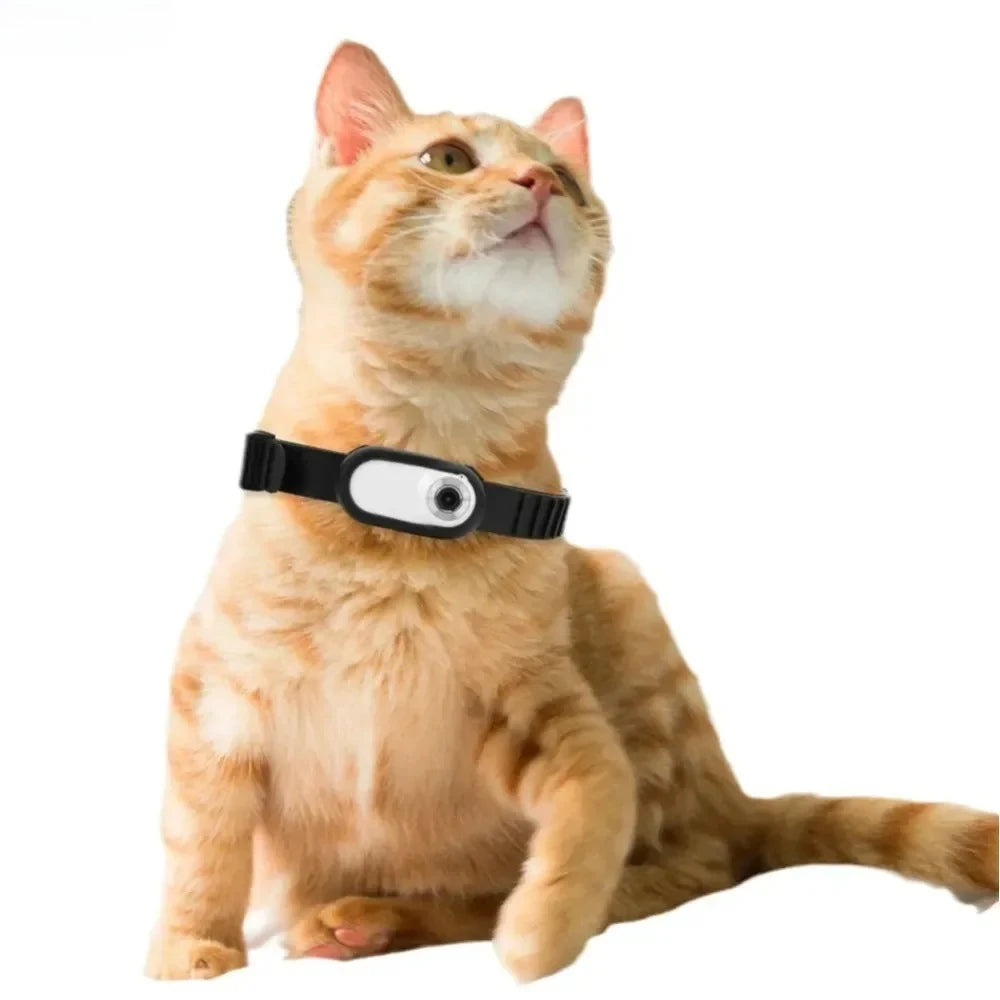 LISMCN 1080P Pet Camera Portable HD Detachable Collar Cam - Arthur's Wellness Emporium
