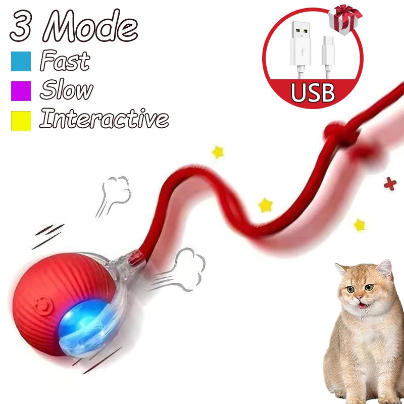 Cat Interactive Ball Toy Automatic Rolling Faux Tail Rechargeable - Arthur's Wellness Emporium