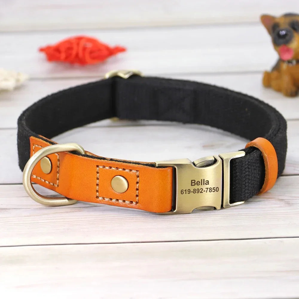 Nylon Dog Collar Leash Set With Personalized Nameplate ID Tag - Arthur's Wellness Emporium