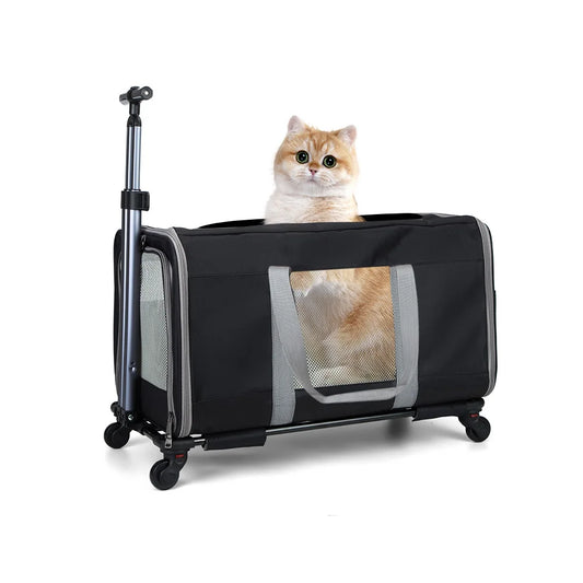Cat Trolley For 2 Cats Wheeled Carrier With Safety Belts - Arthur's Wellness Emporium