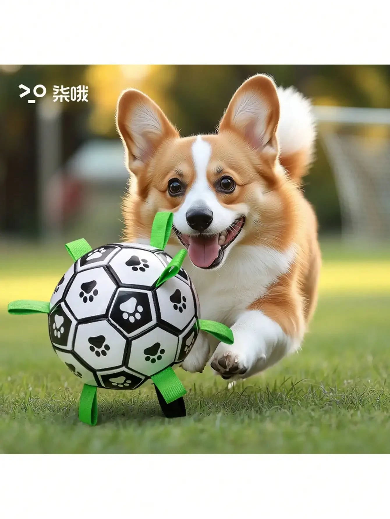 Chew-Resistant Dog Soccer Ball Toy With Air Pump For All Breeds Indoor Outdoor - Arthur's Wellness Emporium
