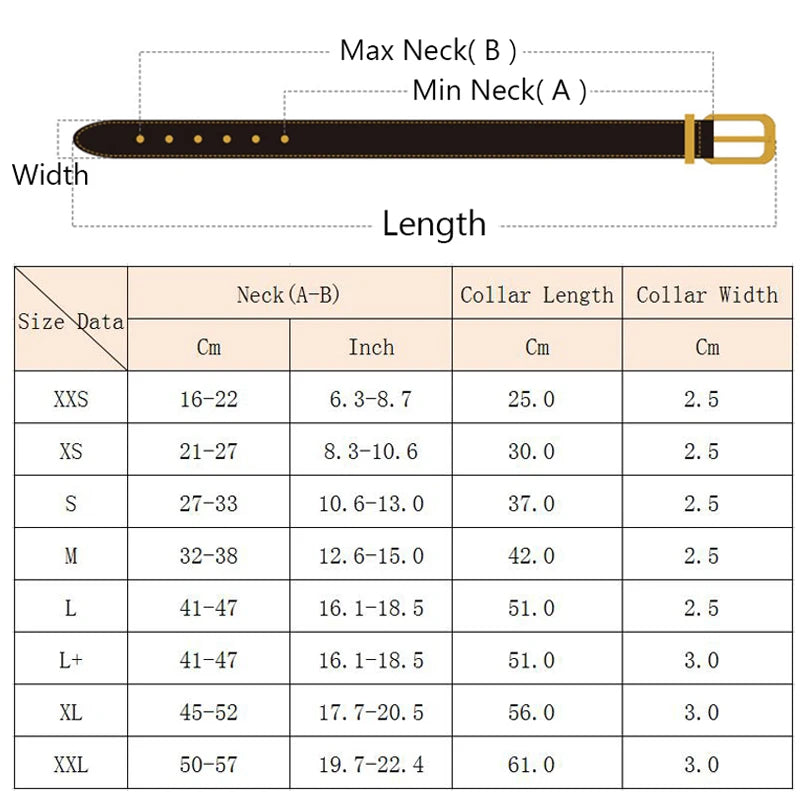 Quality Leather Dog Anti Bite Rivet Collar And Leash Set - Arthur's Wellness Emporium