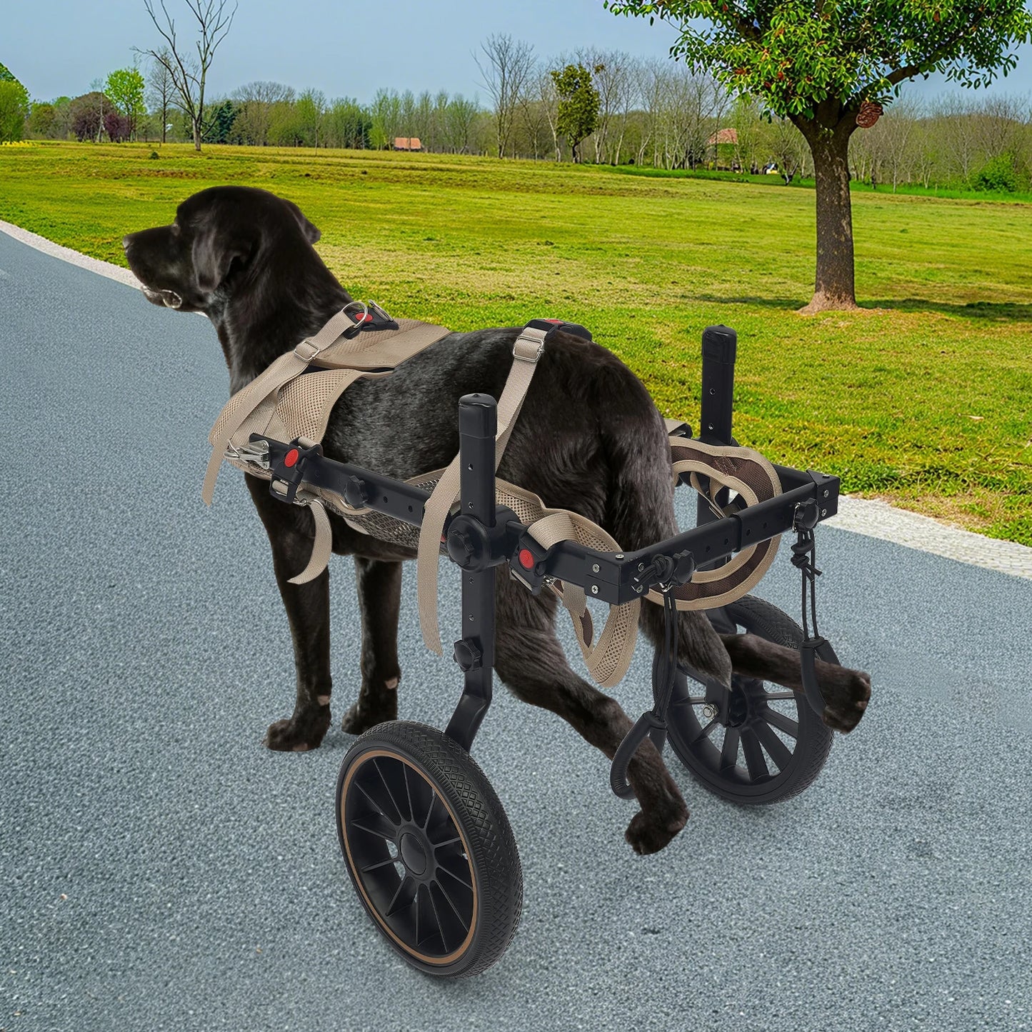 Adjustable Dog Wheelchair Hind Leg Walker Aluminum Alloy Rehab Cart