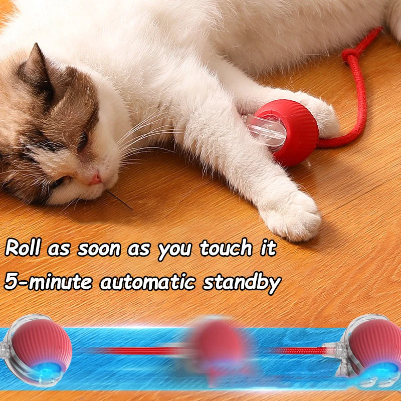 Cat Interactive Ball Toy Automatic Rolling Faux Tail Rechargeable - Arthur's Wellness Emporium
