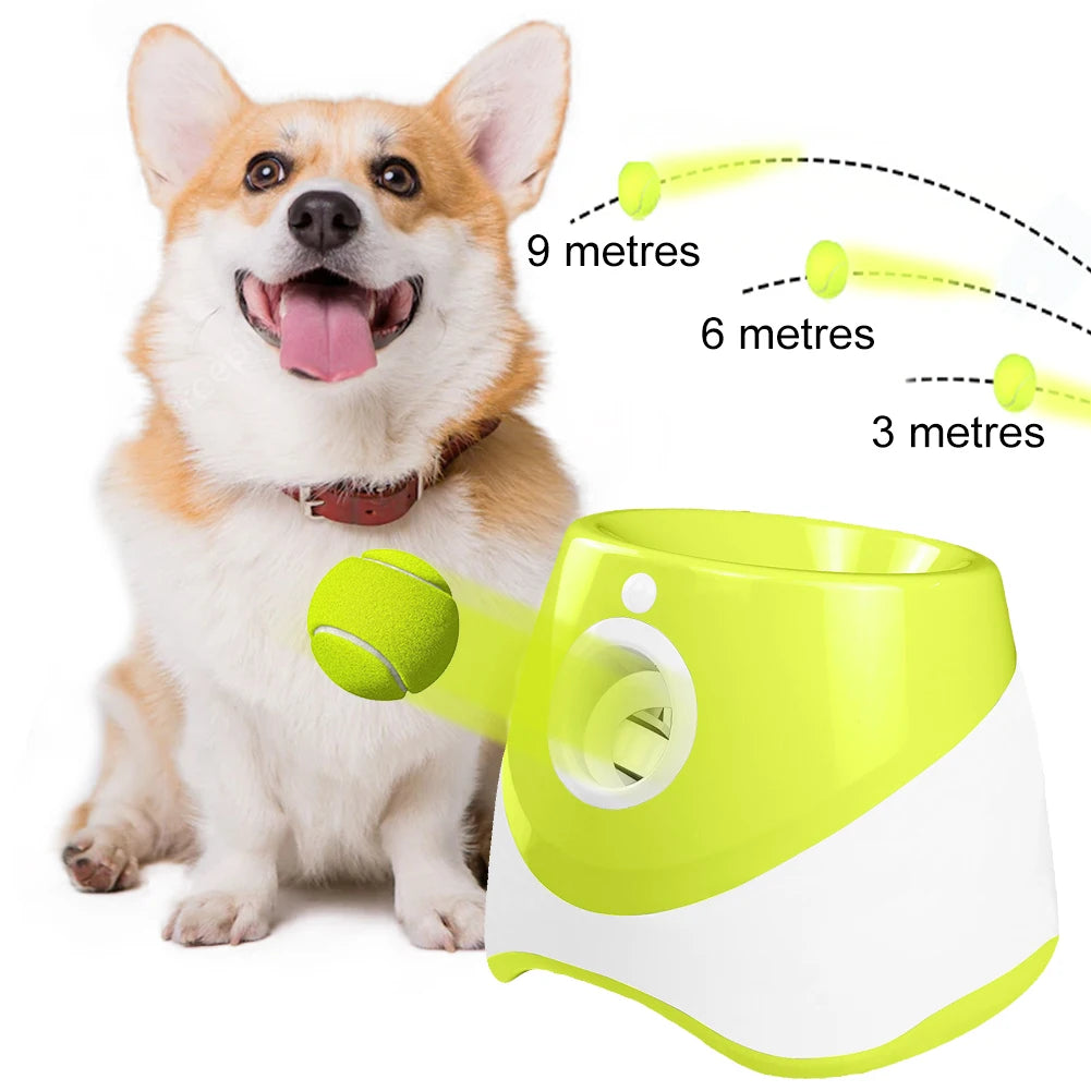 Automatic Dog Ball Thrower Launcher With 3 Tennis Balls - Arthur's Wellness Emporium