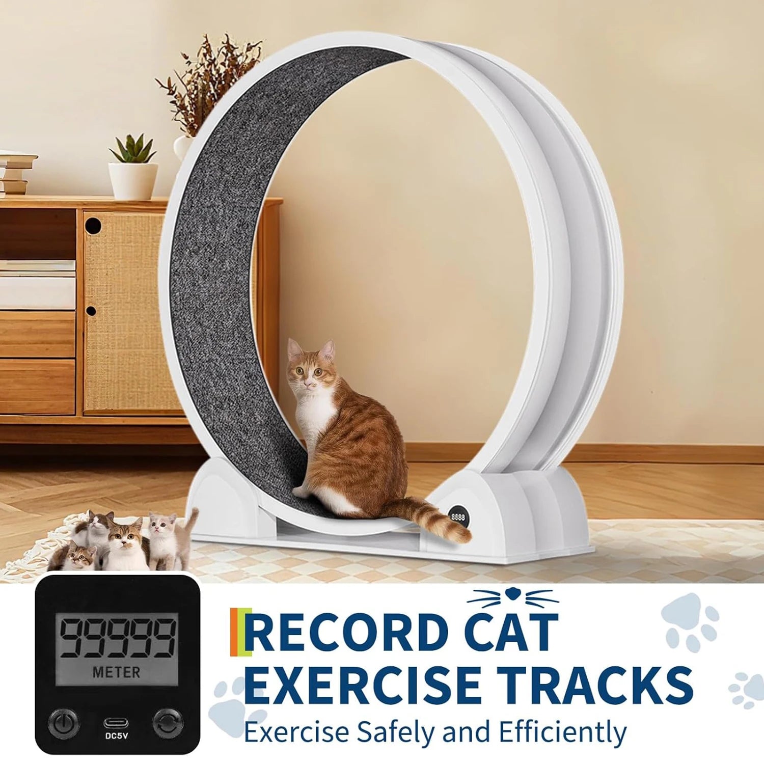 HiMISSCN Cat Exercise Wheel Indoor Running Wheel For Cats - Arthur's Wellness Emporium
