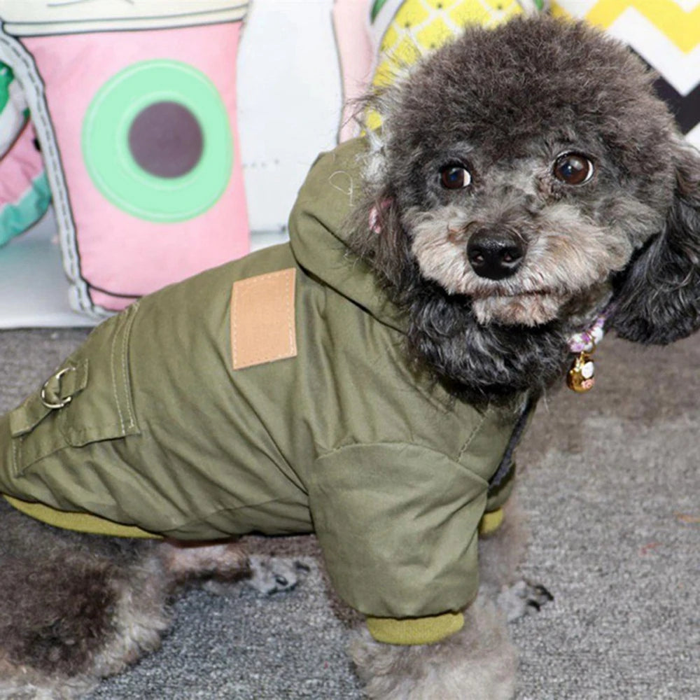 Dog Jacket With Harness For Winter Hiking Outdoors - Arthur's Wellness Emporium
