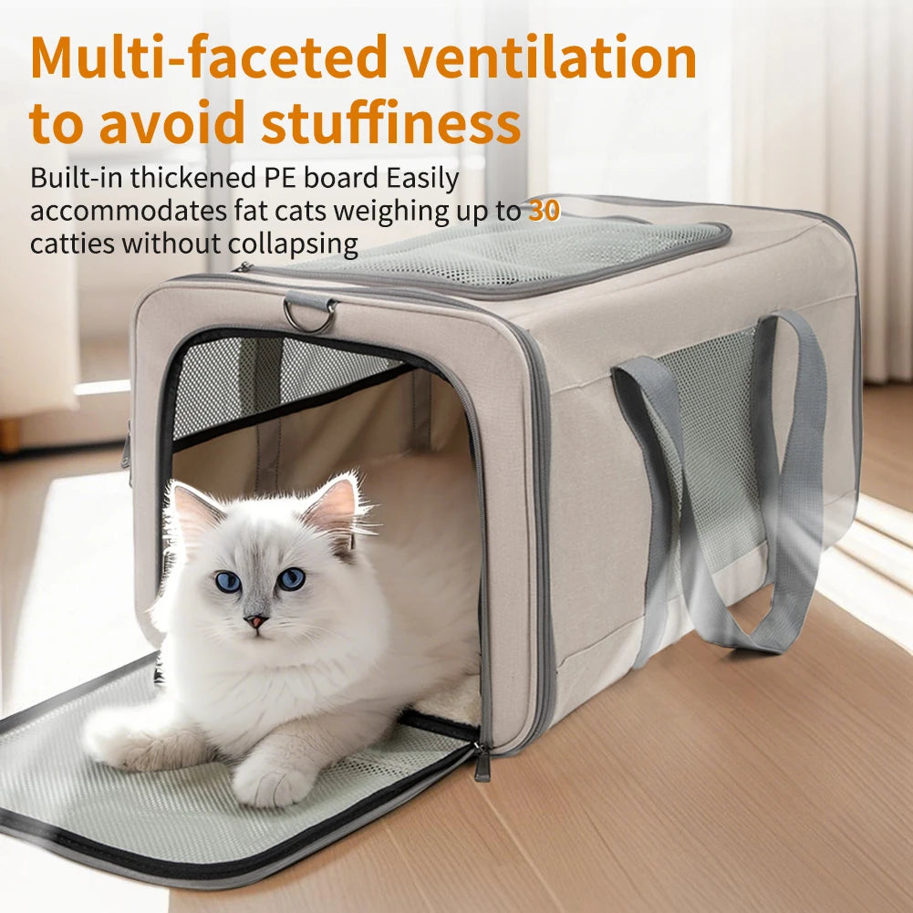 Cat Trolley For 2 Cats Wheeled Carrier With Safety Belts - Arthur's Wellness Emporium