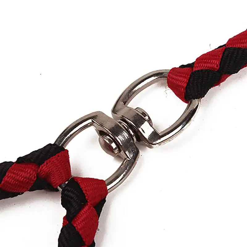 Elastic Dual Dog Leash With Couplers For Two Dogs Outdoor - Arthur's Wellness Emporium