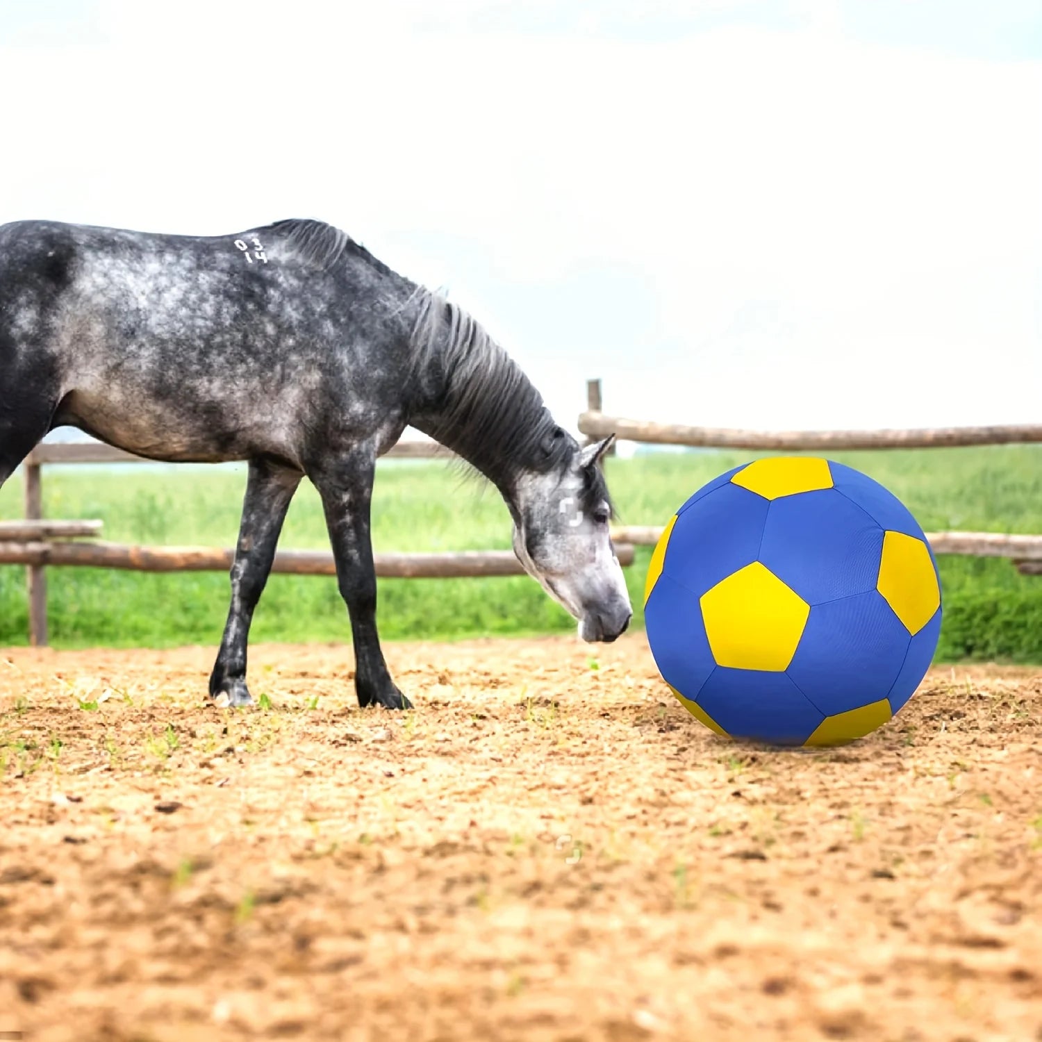 Thickened Giant Grazing Ball With Cover For Dogs And Horses - Arthur's Wellness Emporium