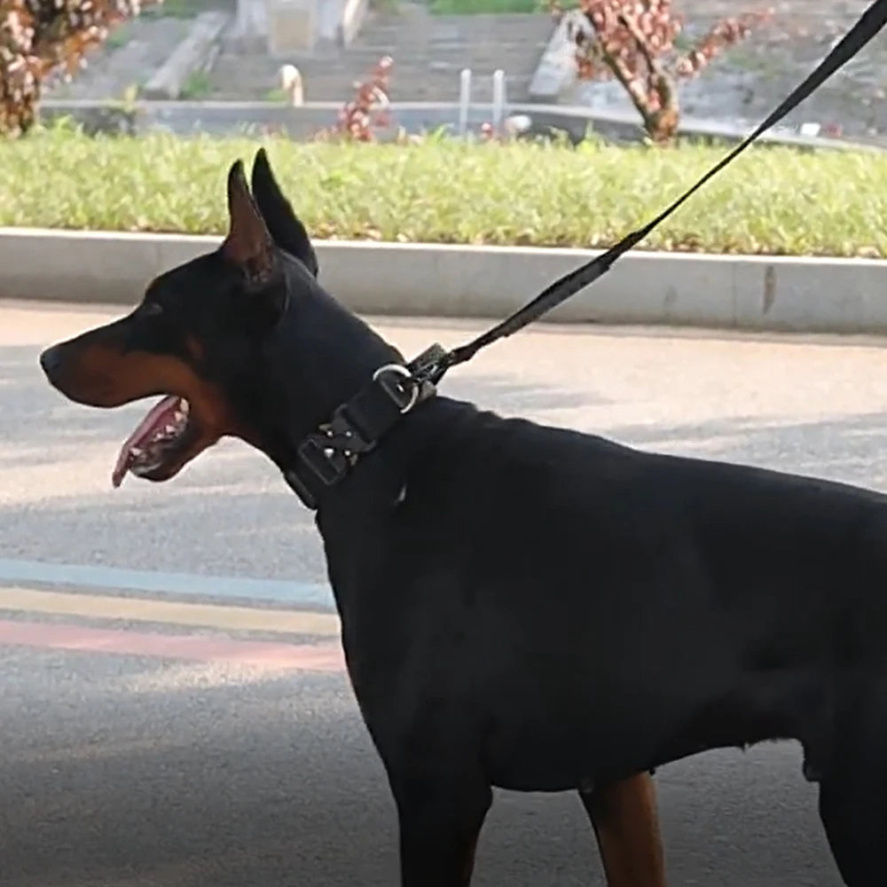 High Quality Dog Collar With Metal Buckle For Dogs - Arthur's Wellness Emporium