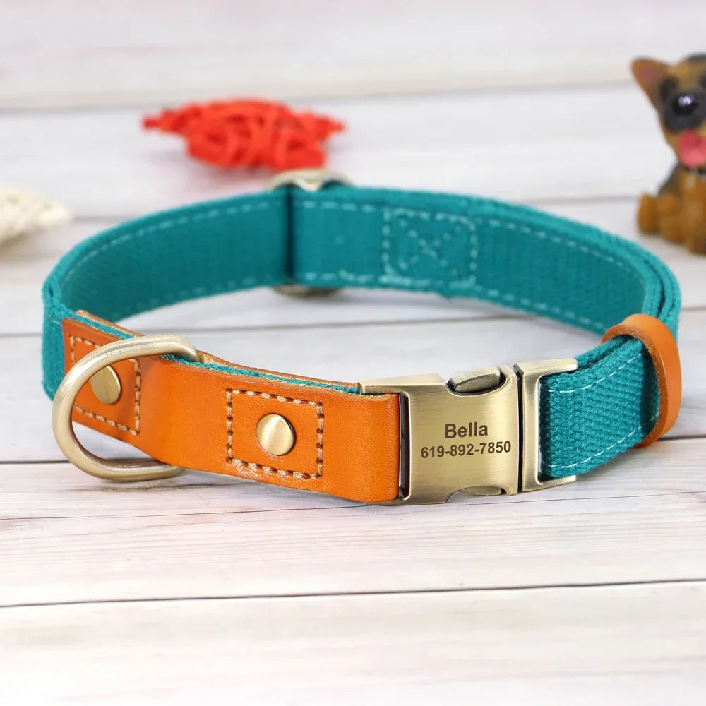 Nylon Custom Dog Collar and Leash Set with Personalized Nameplate - Arthur's Wellness Emporium
