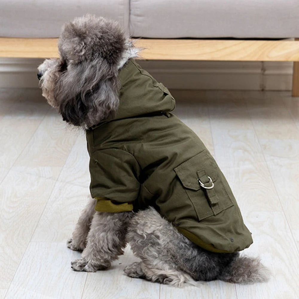 Dog Jacket With Harness For Winter Hiking Outdoors - Arthur's Wellness Emporium