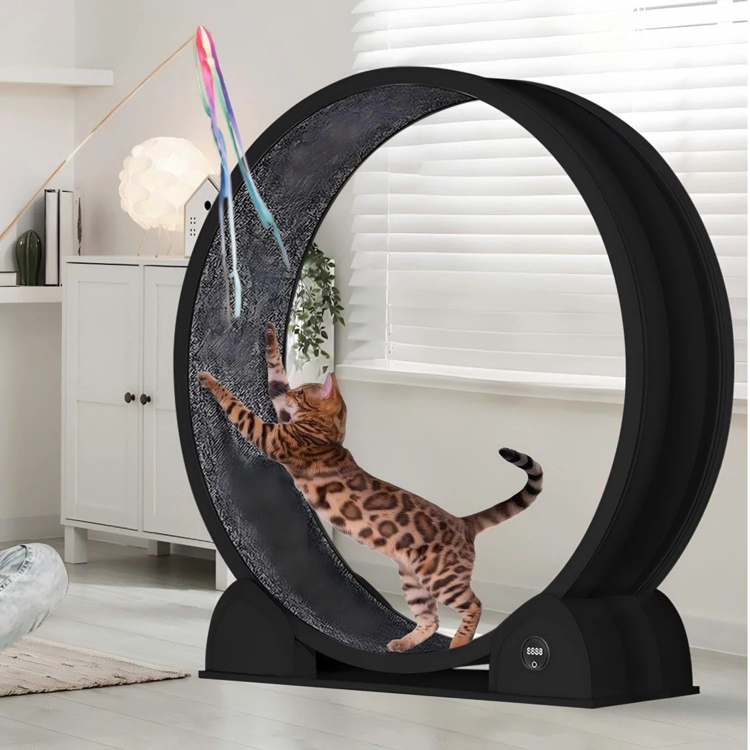 HiMISSCN Cat Exercise Wheel Indoor Running Wheel For Cats - Arthur's Wellness Emporium