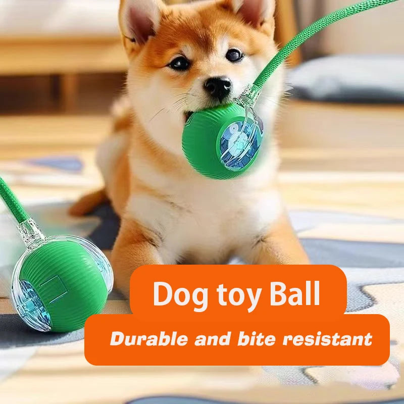 Interactive Dog Ball Toy Automatic Rolling Rechargeable