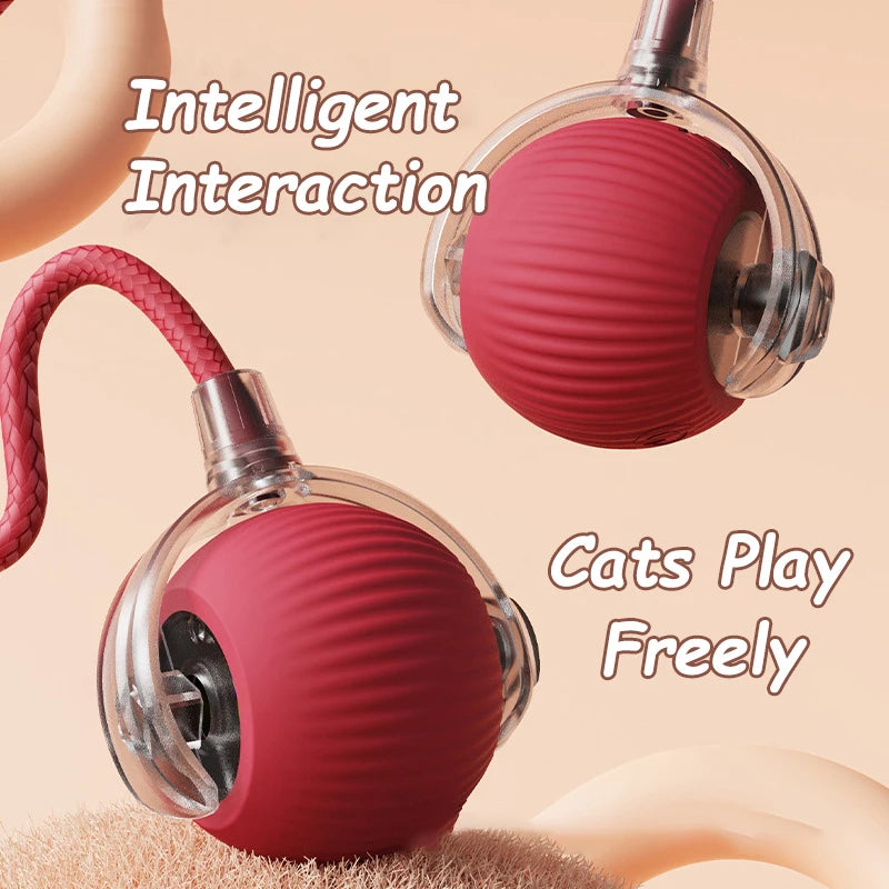 Cat Interactive Ball Toy Automatic Rolling Faux Tail Rechargeable - Arthur's Wellness Emporium
