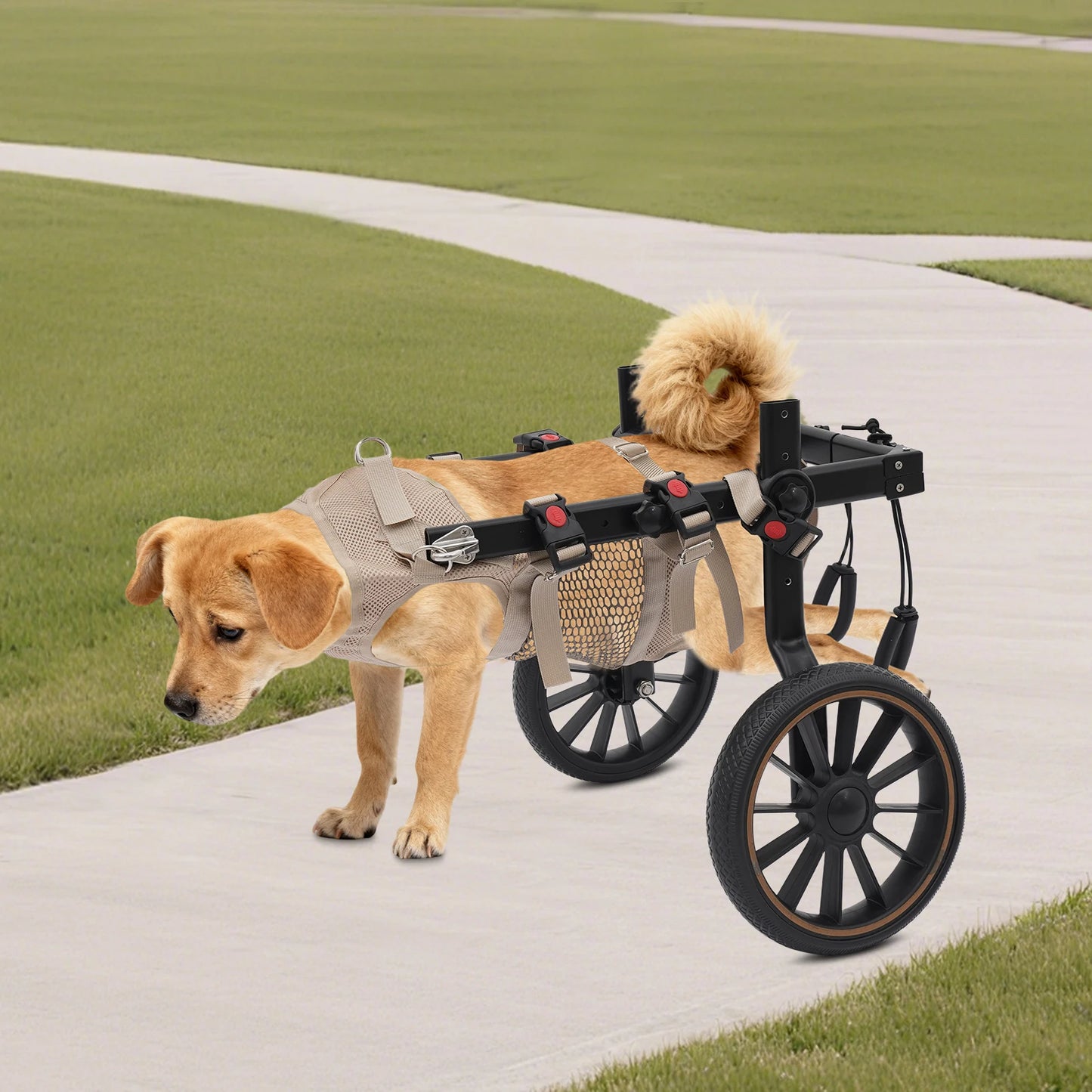 Adjustable Dog Wheelchair Hind Leg Walker Aluminum Alloy Rehab Cart