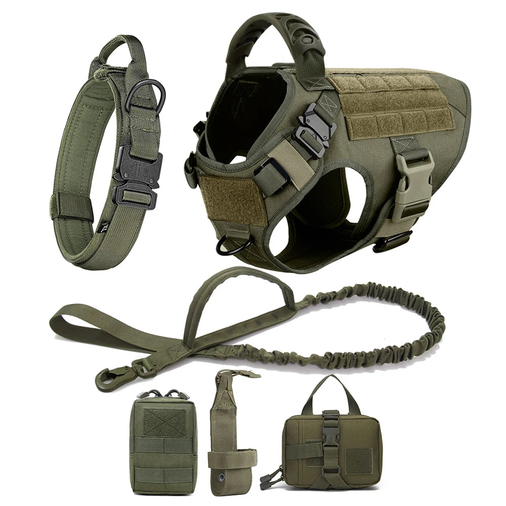PETRAVELCN Dog Harness and Leash Set for Training - Arthur's Wellness Emporium
