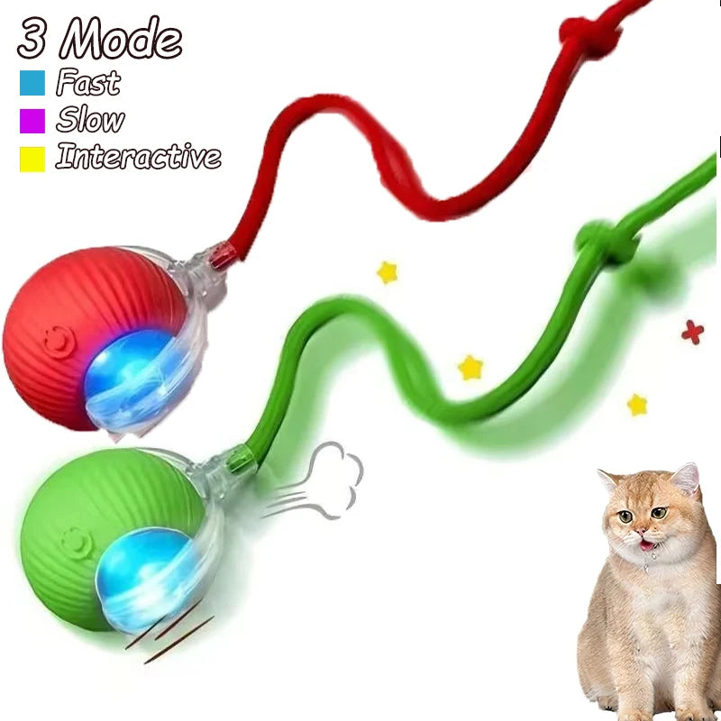 Cat Interactive Ball Toy Automatic Rolling Faux Tail Rechargeable - Arthur's Wellness Emporium