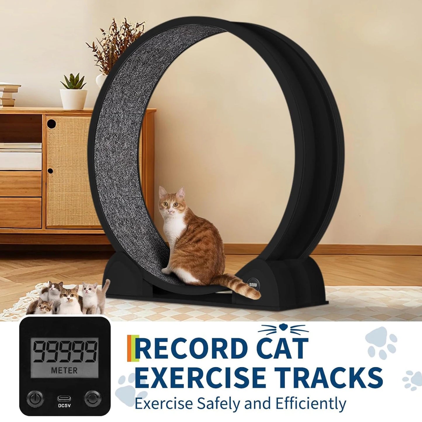 HiMISSCN Cat Exercise Wheel Indoor Running Wheel For Cats - Arthur's Wellness Emporium