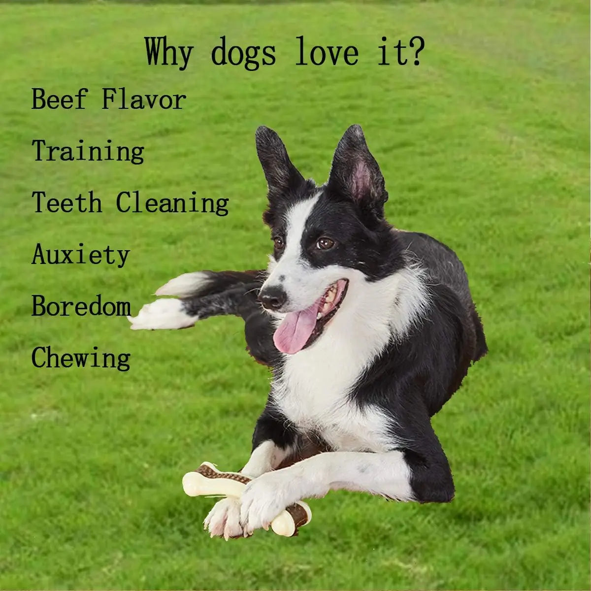 Beef Flavor Dog Chew Toys Nylon Bones For Aggressive Chewers