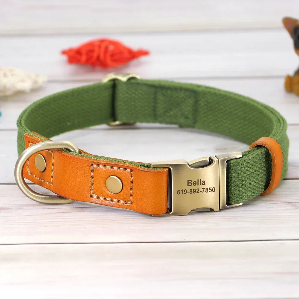 Nylon Dog Collar Leash Set With Personalized Nameplate ID Tag - Arthur's Wellness Emporium