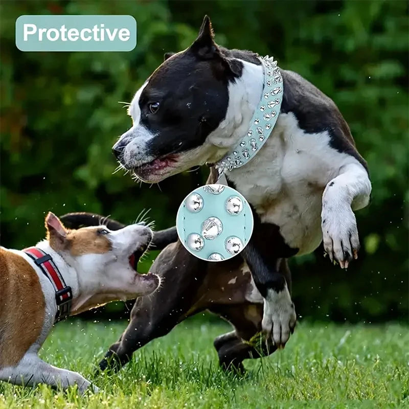 Quality Leather Dog Anti Bite Rivet Collar And Leash Set - Arthur's Wellness Emporium