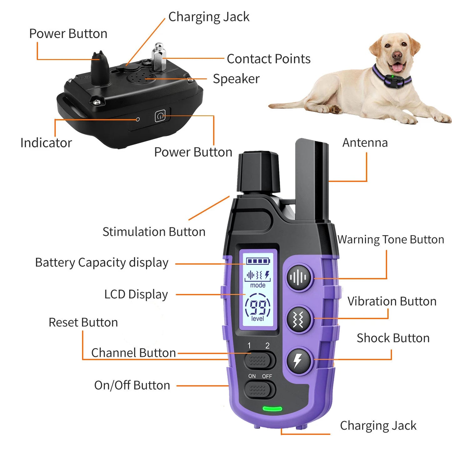 WXRPET Waterproof Electric Dog Training Collar Remote With Vibration Beep