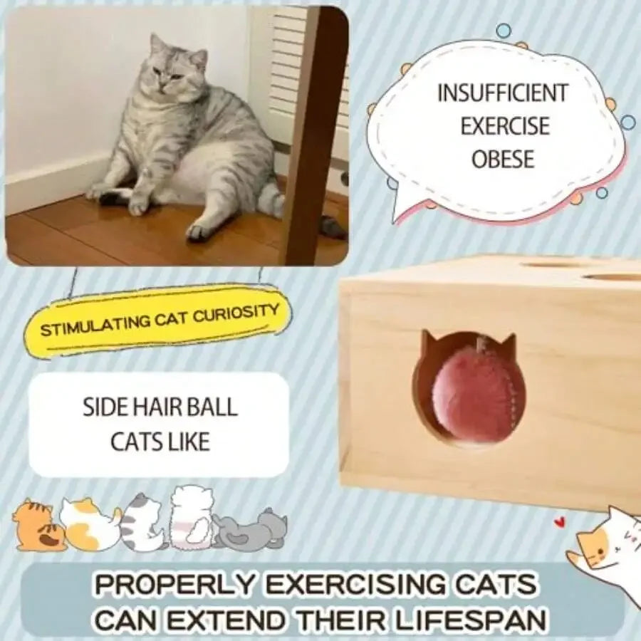 Wooden Cat Puzzle Box Toy With Pop Up Holes And Hanging Balls