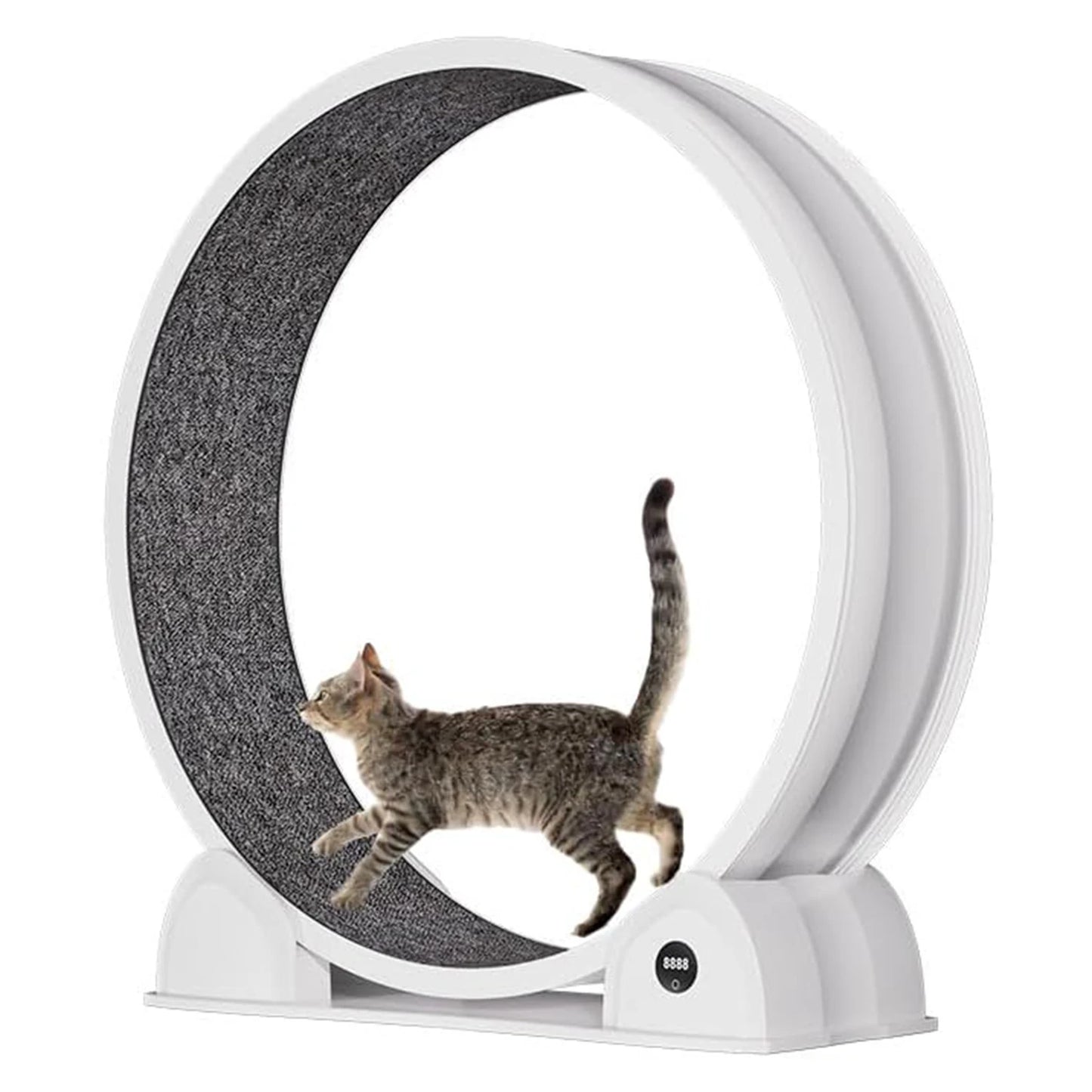 HiMISS Cat Exercise Wheel Indoor Running Wheel For Cats - Arthur's Wellness Emporium
