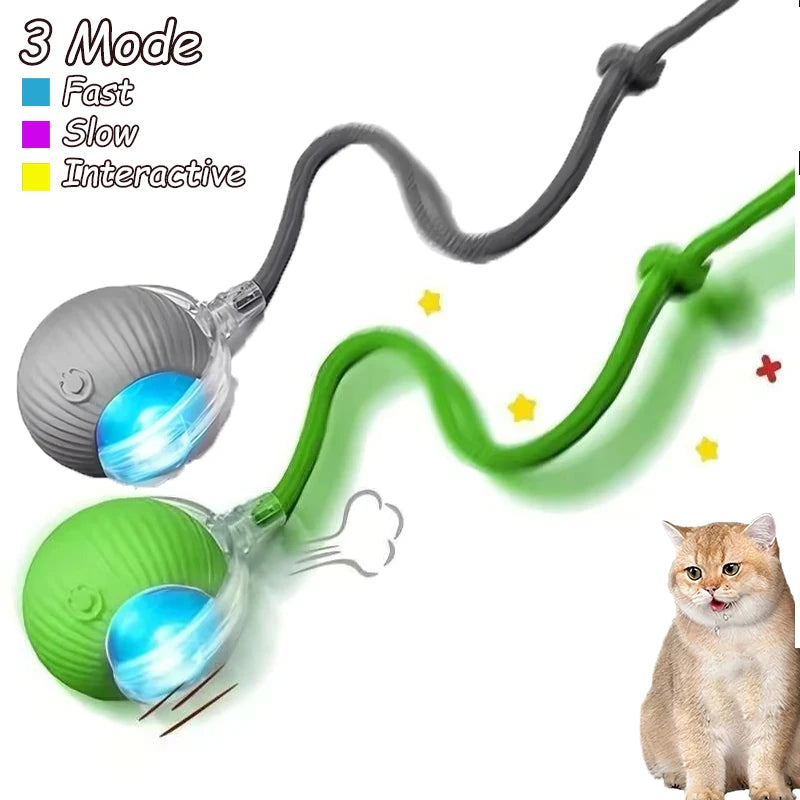 Cat Interactive Ball Toy Automatic Rolling Faux Tail Rechargeable - Arthur's Wellness Emporium