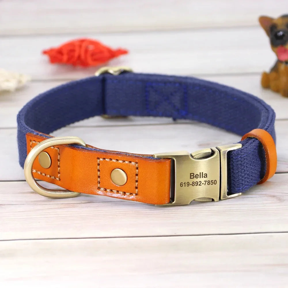 Nylon Dog Collar Leash Set With Personalized Nameplate ID Tag - Arthur's Wellness Emporium
