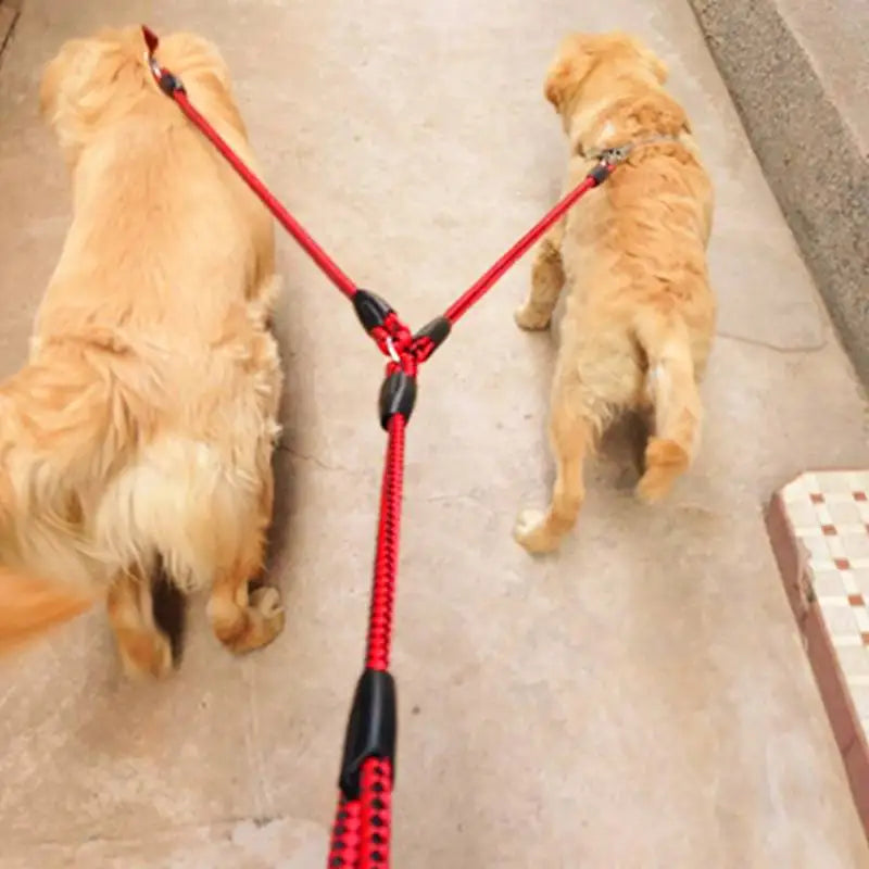 Elastic Dual Dog Leash With Couplers For Two Dogs Outdoor - Arthur's Wellness Emporium