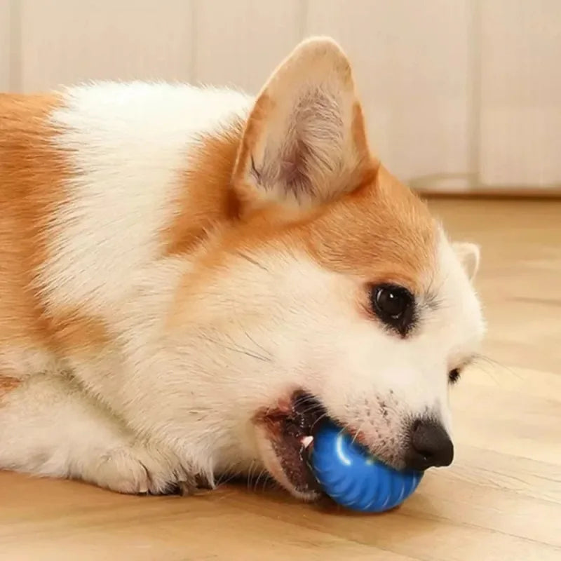 Automatic Moving Dog Ball Toy USB Interactive Puppy Chew Ball