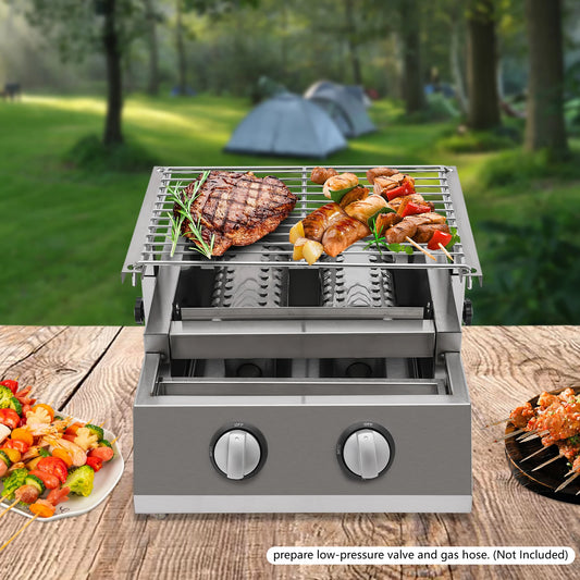 Two-Burner Stainless Steel LPG Gas Grill Portable for Outdoor Patio - Arthur's Wellness Emporium