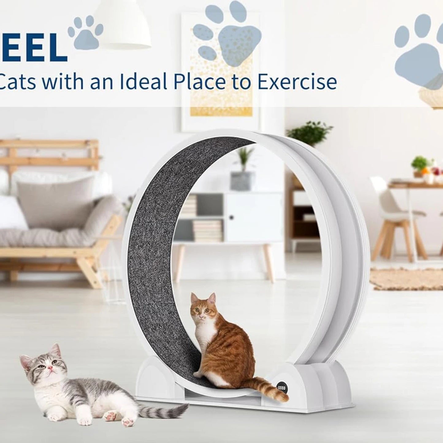 HiMISSCN Cat Exercise Wheel Indoor Running Wheel For Cats - Arthur's Wellness Emporium